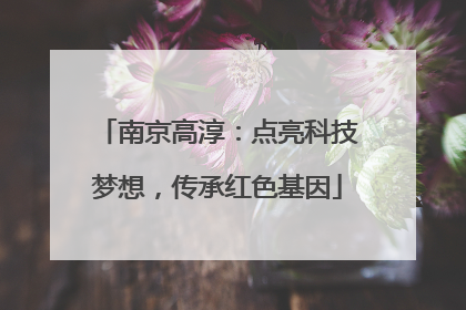 南京高淳：点亮科技梦想，传承红色基因