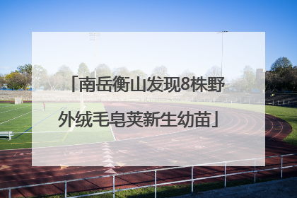 南岳衡山发现8株野外绒毛皂荚新生幼苗