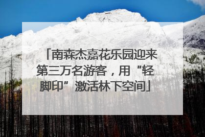 南森杰嘉花乐园迎来第三万名游客，用“轻脚印”激活林下空间