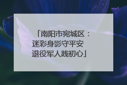南阳市宛城区：迷彩身影守平安 退役军人践初心