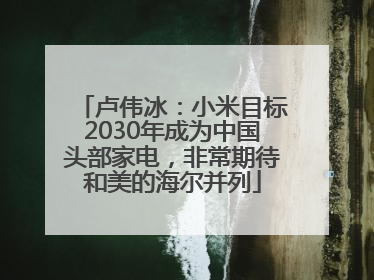 卢伟冰：小米目标2030年成为中国头部家电，非常期待和美的海尔并列