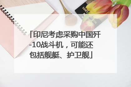 印尼考虑采购中国歼-10战斗机，可能还包括舰艇、护卫舰