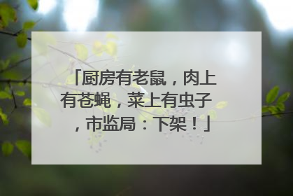 厨房有老鼠，肉上有苍蝇，菜上有虫子，市监局：下架！