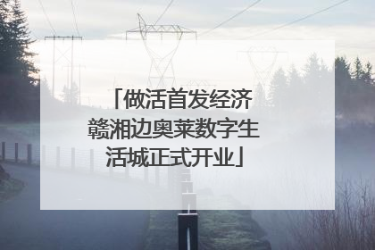 做活首发经济 赣湘边奥莱数字生活城正式开业