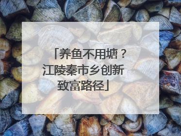 养鱼不用塘？江陵秦市乡创新致富路径