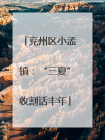 兖州区小孟镇：“三夏”收割话丰年