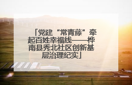 党建“常青藤”牵起百姓幸福线——桦南县秀北社区创新基层治理纪实