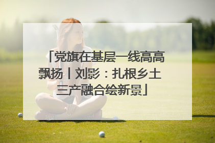 党旗在基层一线高高飘扬丨刘影：扎根乡土 三产融合绘新景
