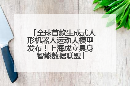 全球首款生成式人形机器人运动大模型发布！上海成立具身智能数据联盟