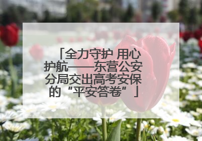 全力守护 用心护航——东营公安分局交出高考安保的“平安答卷”