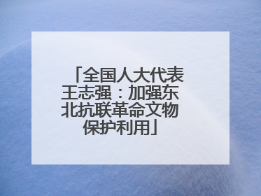 全国人大代表王志强：加强东北抗联革命文物保护利用