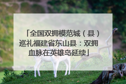 全国双拥模范城（县）巡礼福建省东山县：双拥血脉在英雄岛延续