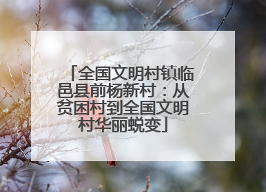 全国文明村镇临邑县前杨新村：从贫困村到全国文明村华丽蜕变