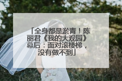 全身都是淤青！陈丽君《我的大观园》幕后：面对滚楼梯，没有做不到