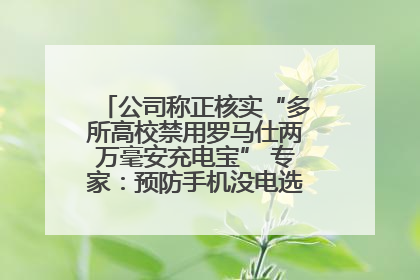 公司称正核实“多所高校禁用罗马仕两万毫安充电宝” 专家：预防手机没电选中等体积产品即可