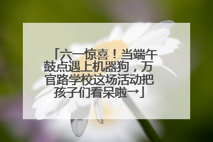 六一惊喜！当端午鼓点遇上机器狗，万官路学校这场活动把孩子们看呆啦→