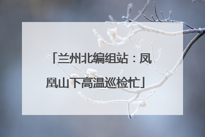 兰州北编组站：凤凰山下高温巡检忙
