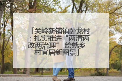 关岭新铺镇卧龙村：扎实推进“两清两改两治理” 绘就乡村宜居新图景