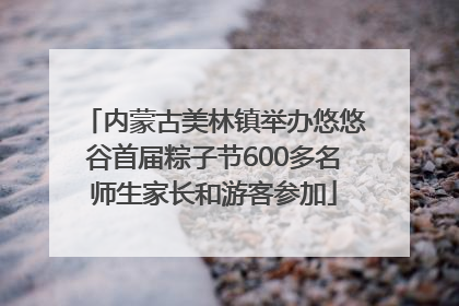 内蒙古美林镇举办悠悠谷首届粽子节600多名师生家长和游客参加