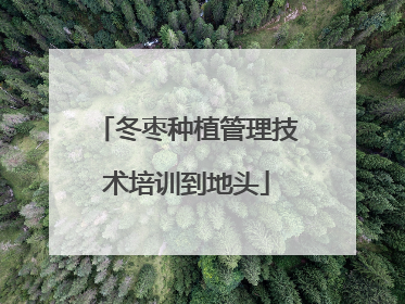 冬枣种植管理技术培训到地头