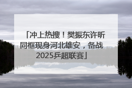 冲上热搜！樊振东许昕同框现身河北雄安，备战2025乒超联赛