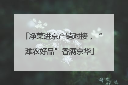 净菜进京产销对接，“潍农好品”香满京华
