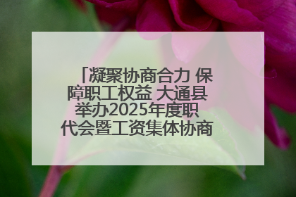 凝聚协商合力 保障职工权益 大通县举办2025年度职代会暨工资集体协商现场观摩交流活动