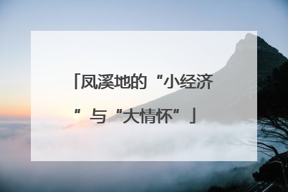 凤溪地的“小经济”与“大情怀”