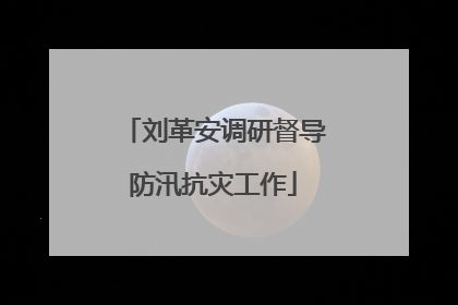 刘革安调研督导防汛抗灾工作