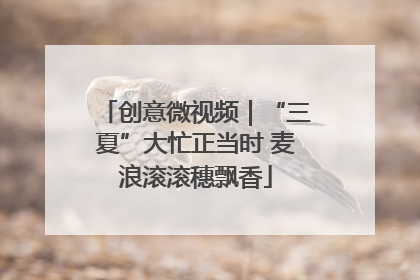 创意微视频｜“三夏”大忙正当时 麦浪滚滚穗飘香
