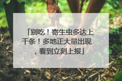 别吃！寄生虫多达上千条！多地正大量出现，看到立刻上报