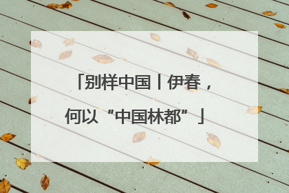 别样中国丨伊春，何以“中国林都”