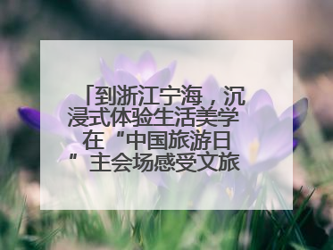 到浙江宁海，沉浸式体验生活美学 在“中国旅游日”主会场感受文旅新气象