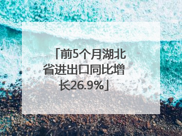 前5个月湖北省进出口同比增长26.9%