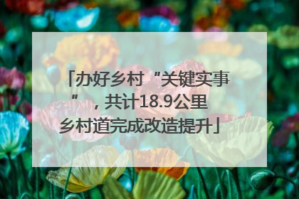办好乡村“关键实事”，共计18.9公里乡村道完成改造提升