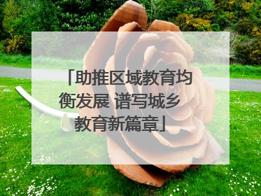 助推区域教育均衡发展 谱写城乡教育新篇章
