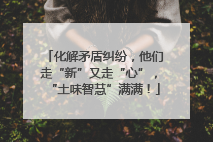化解矛盾纠纷，他们走“新”又走“心”，“土味智慧”满满！