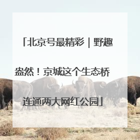 北京号最精彩｜野趣盎然！京城这个生态桥连通两大网红公园