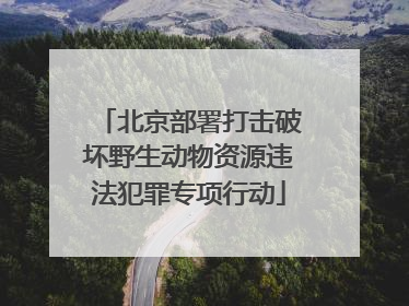 北京部署打击破坏野生动物资源违法犯罪专项行动