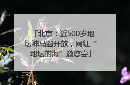 北京：近500岁地坛神马圈开放，网红“地坛的海”邀您尝