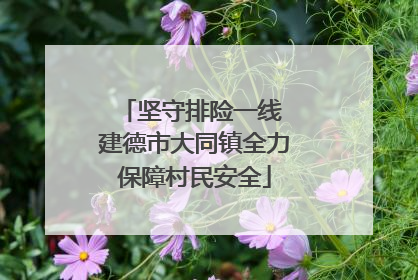 坚守排险一线 建德市大同镇全力保障村民安全