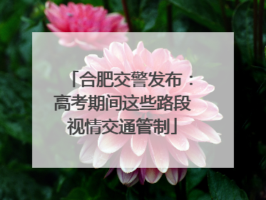 合肥交警发布：高考期间这些路段视情交通管制
