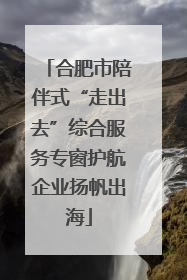 合肥市陪伴式“走出去”综合服务专窗护航企业扬帆出海