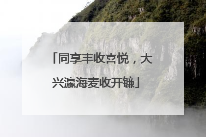 同享丰收喜悦，大兴瀛海麦收开镰