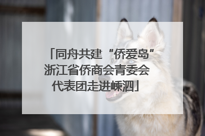 同舟共建“侨爱岛” 浙江省侨商会青委会代表团走进嵊泗