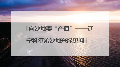 向沙地要“产值”——辽宁科尔沁沙地兴绿见闻