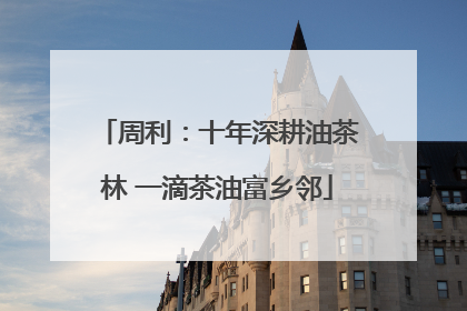 周利：十年深耕油茶林 一滴茶油富乡邻