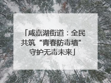 咸嘉湖街道：全民共筑“青春防毒墙” 守护无毒未来