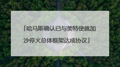 哈马斯确认已与美特使就加沙停火总体框架达成协议