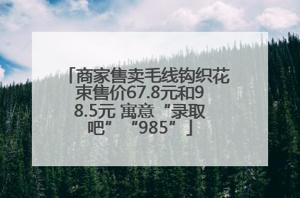 商家售卖毛线钩织花束售价67.8元和98.5元 寓意“录取吧”“985”